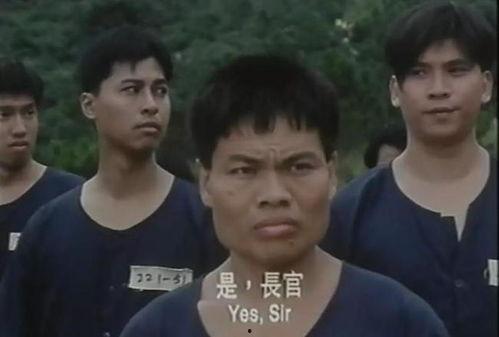 国产监狱电影视频,国产监狱电影中的真实与反思