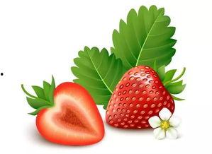 草莓视频国产旧版,重温经典，回味无穷的短视频时光